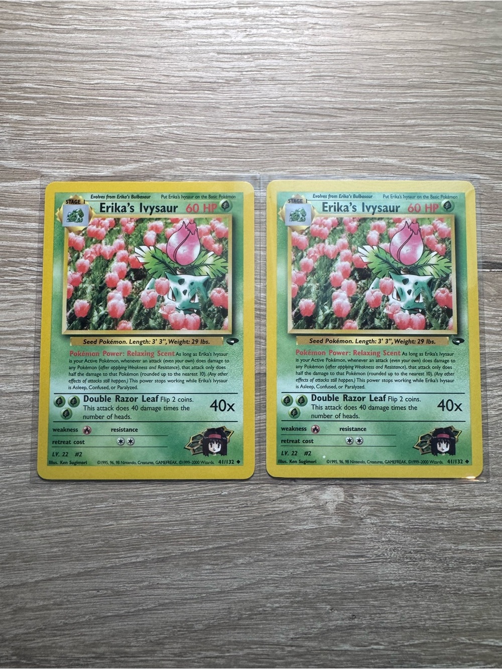 Erika's Ivysaur #41 - Pokemon Gym Challenge (2)
